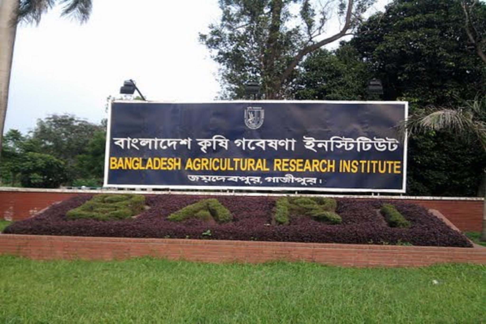 blog image